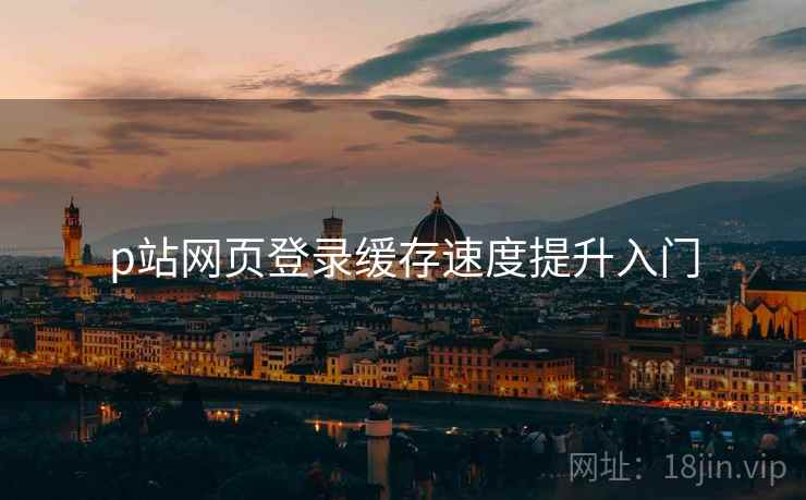 p站网页登录缓存速度提升入门 p站网页登录缓存速度提升入门
