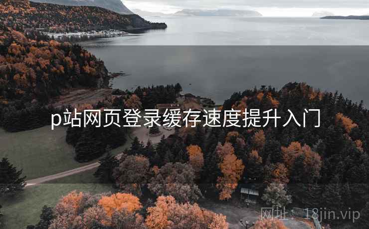 p站网页登录缓存速度提升入门 p站网页登录缓存速度提升入门