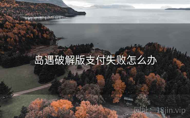 岛遇破解版支付失败怎么办