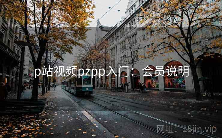 p站视频pzpp入门：会员说明