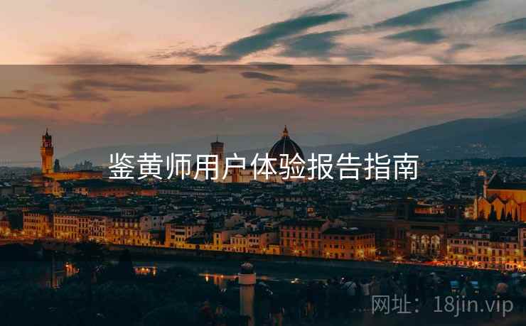 鉴黄师用户体验报告指南