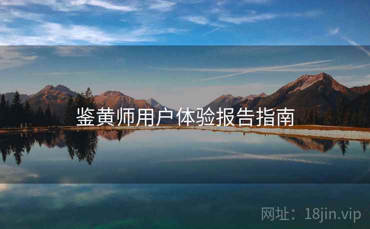 鉴黄师用户体验报告指南