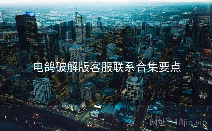 电鸽破解版客服联系合集要点