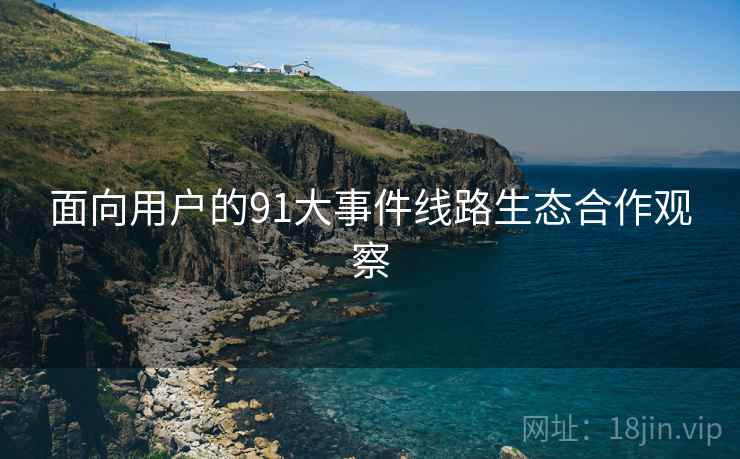 面向用户的91大事件线路生态合作观察