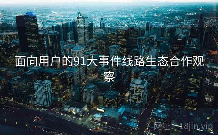 面向用户的91大事件线路生态合作观察