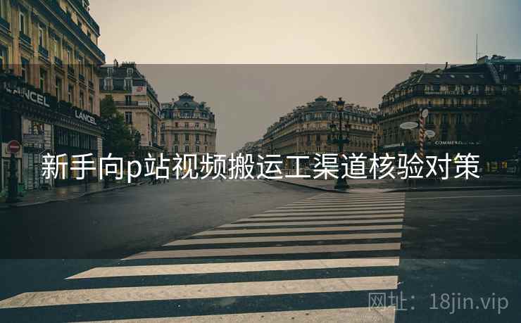 新手向p站视频搬运工渠道核验对策