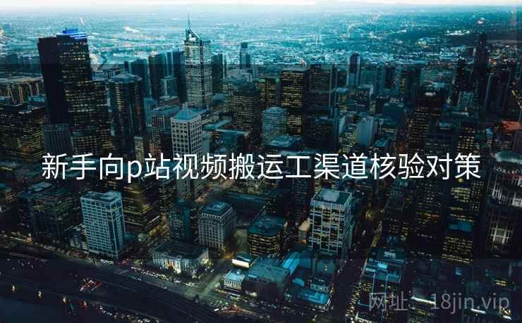 新手向p站视频搬运工渠道核验对策